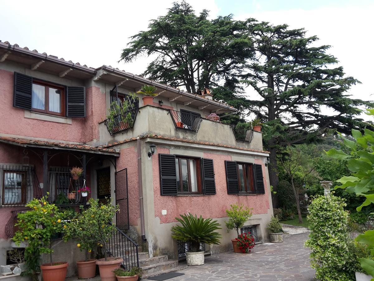 Bed&Breakfast "Fiorella" Sul Lago Кастель-Гандольфо Экстерьер фото